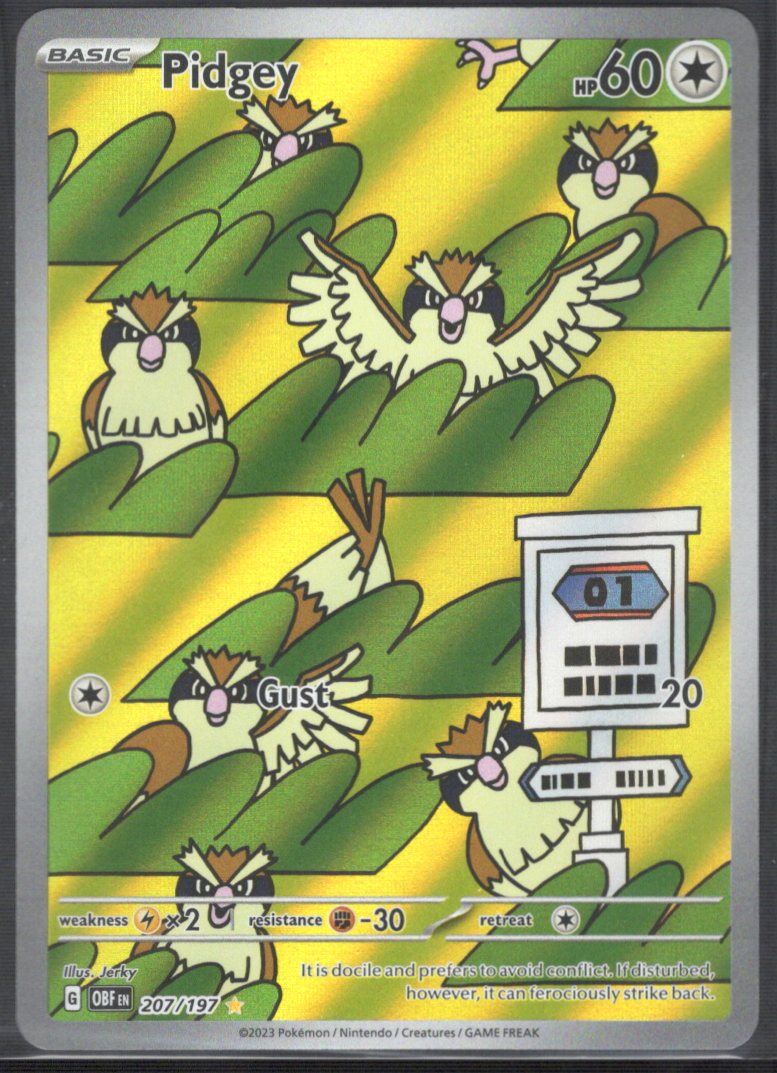 Pidgey 207/197 / Illustration Rare Ungraded Single